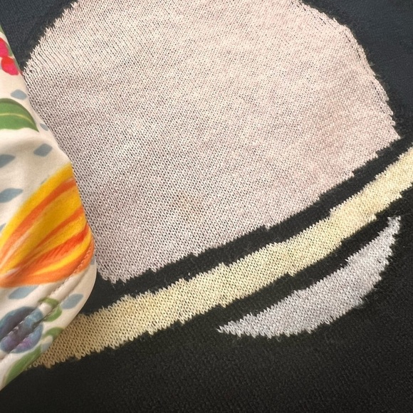 AlexaChung Blue Planet Intarsia Crew Neck Saturn Sweater - Picture 11 of 14